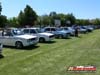 brackenfellshow_052
